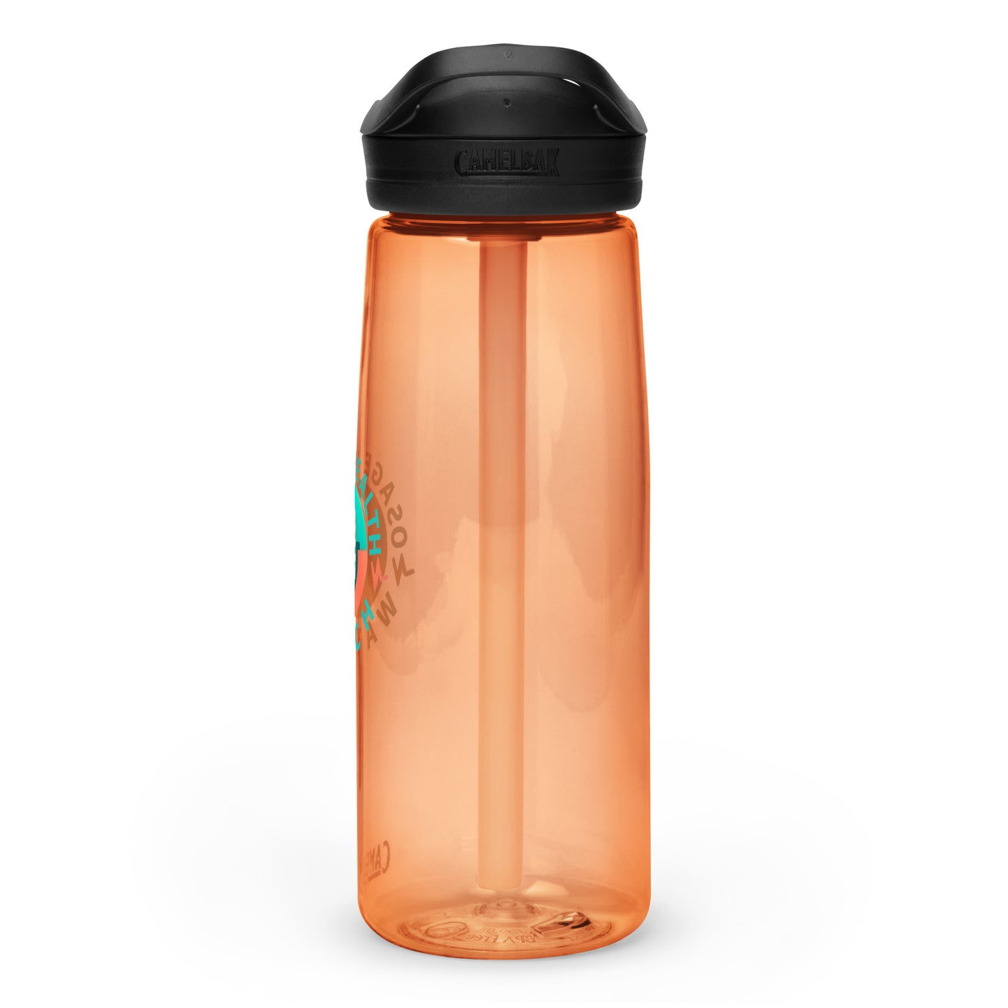 Sports water bottle